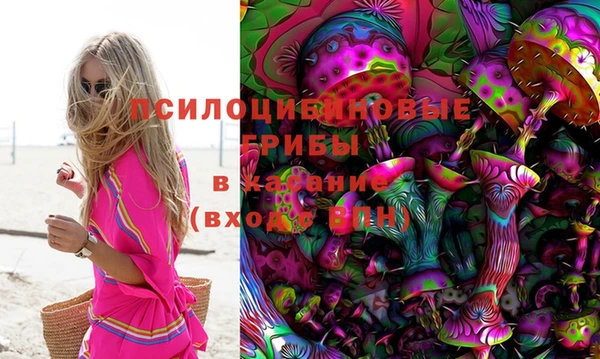 mdma Белокуриха